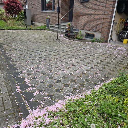 Auffahrt vor Reinigung