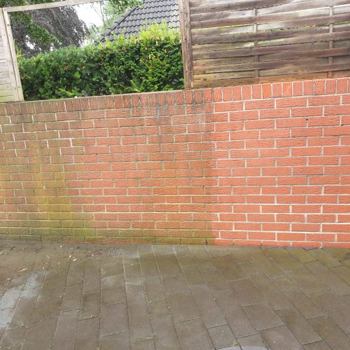 PHOTO-2026-01-19-17-56-03 8