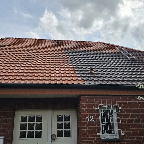 PHOTO-2026-01-19-18-00-09 3