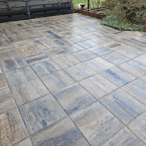 PHOTO-2026-01-19-18-03-27 3