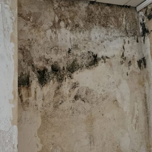 PHOTO-2026-01-19-18-05-13