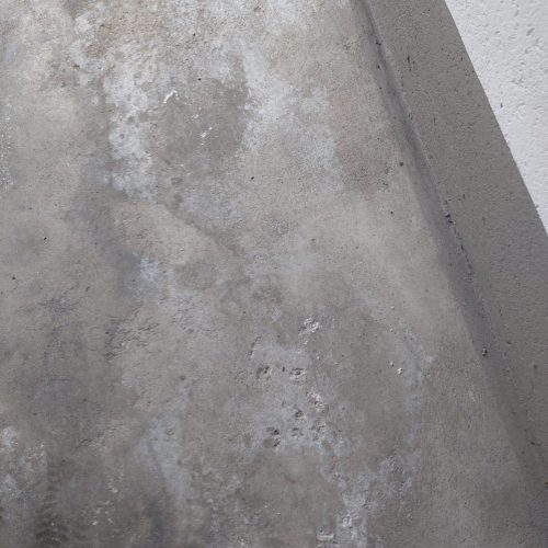 PHOTO-2026-01-19-18-15-06