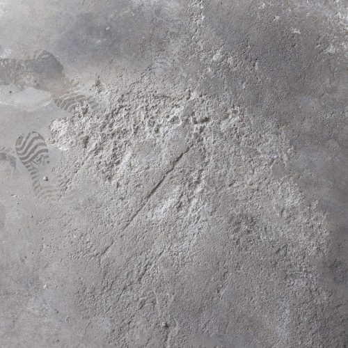 PHOTO-2026-01-19-18-15-07